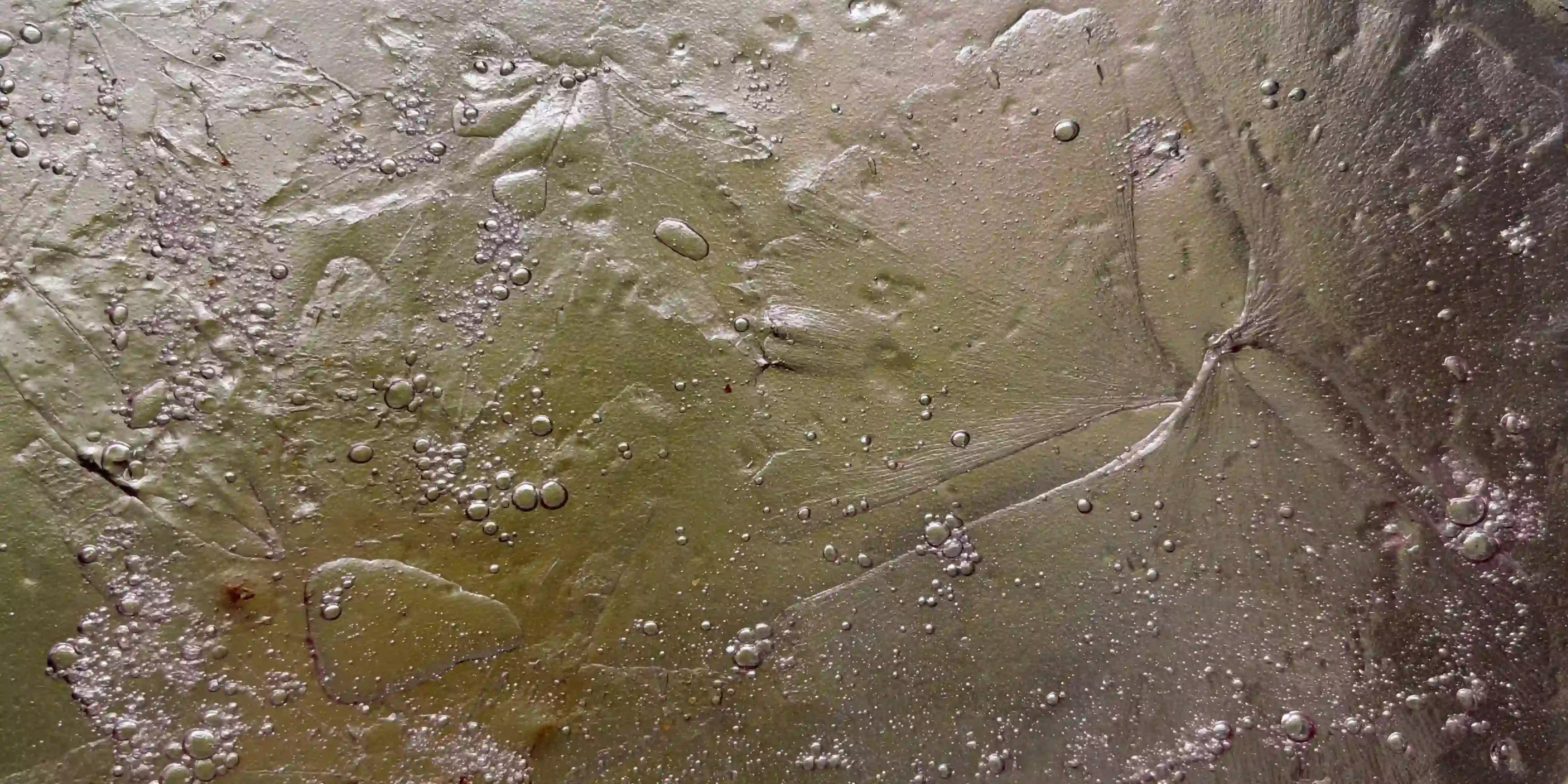 Obra 7
